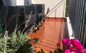 Sunshine Room